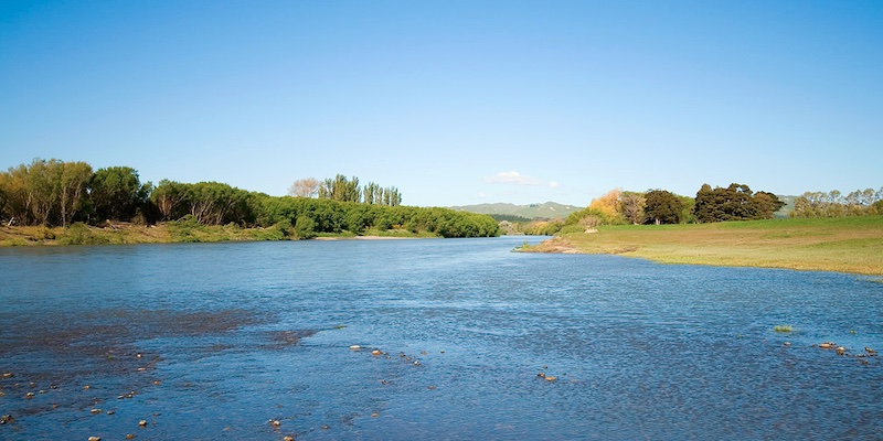 A wide view of the Ruamahanga River near Martinborough