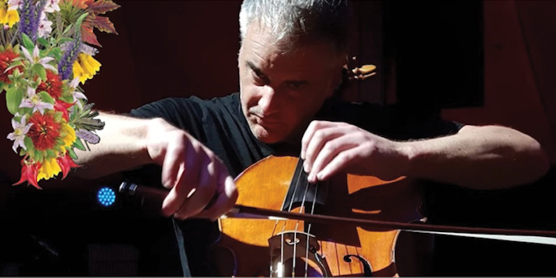 Ashley Brown playing his cello Photo: Pete Monk