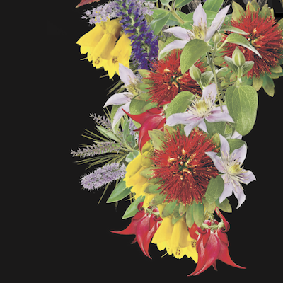 Cascade of NZ flowers from 2026 logo