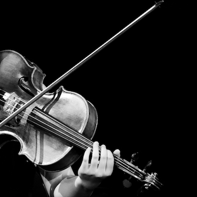 Part of a photo of a viola being played